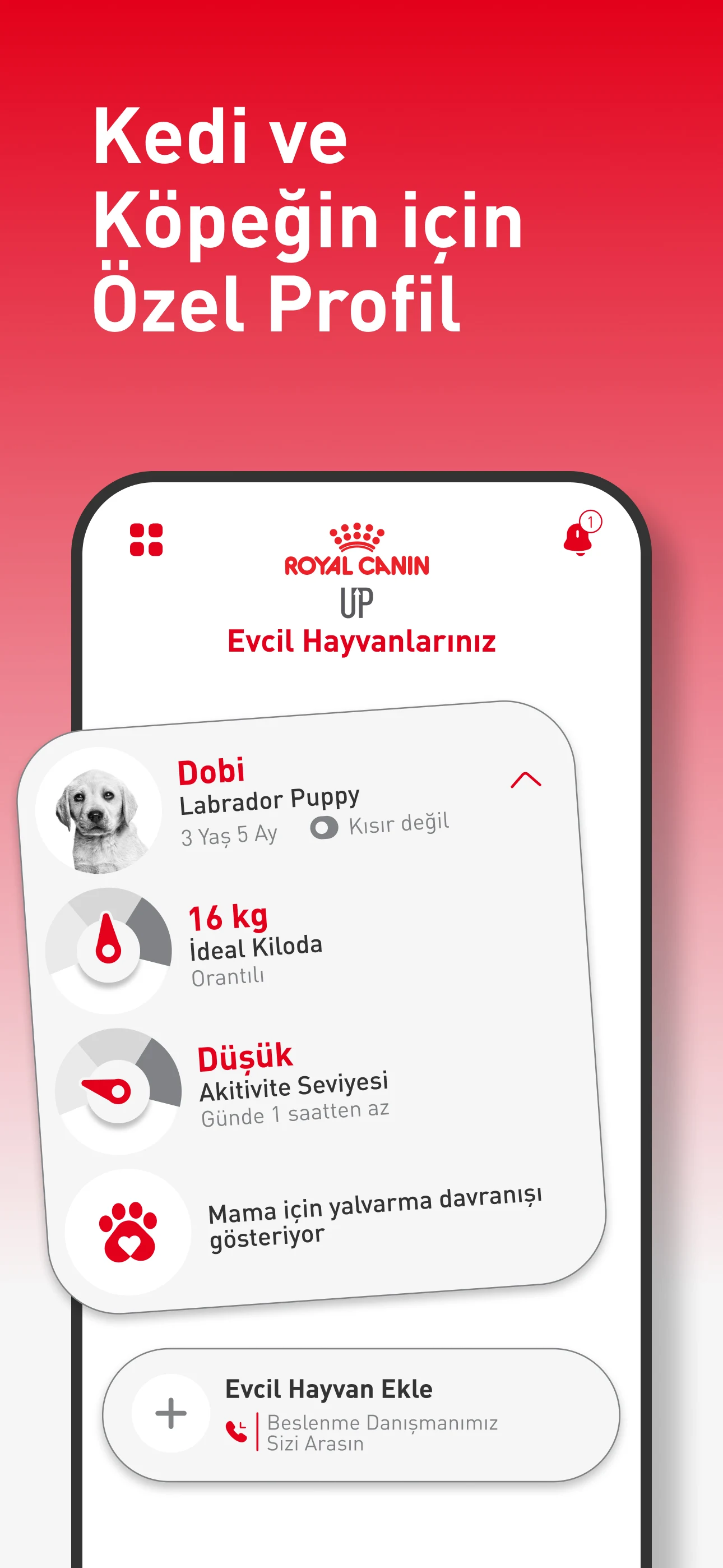Royal Canin Up screenshot