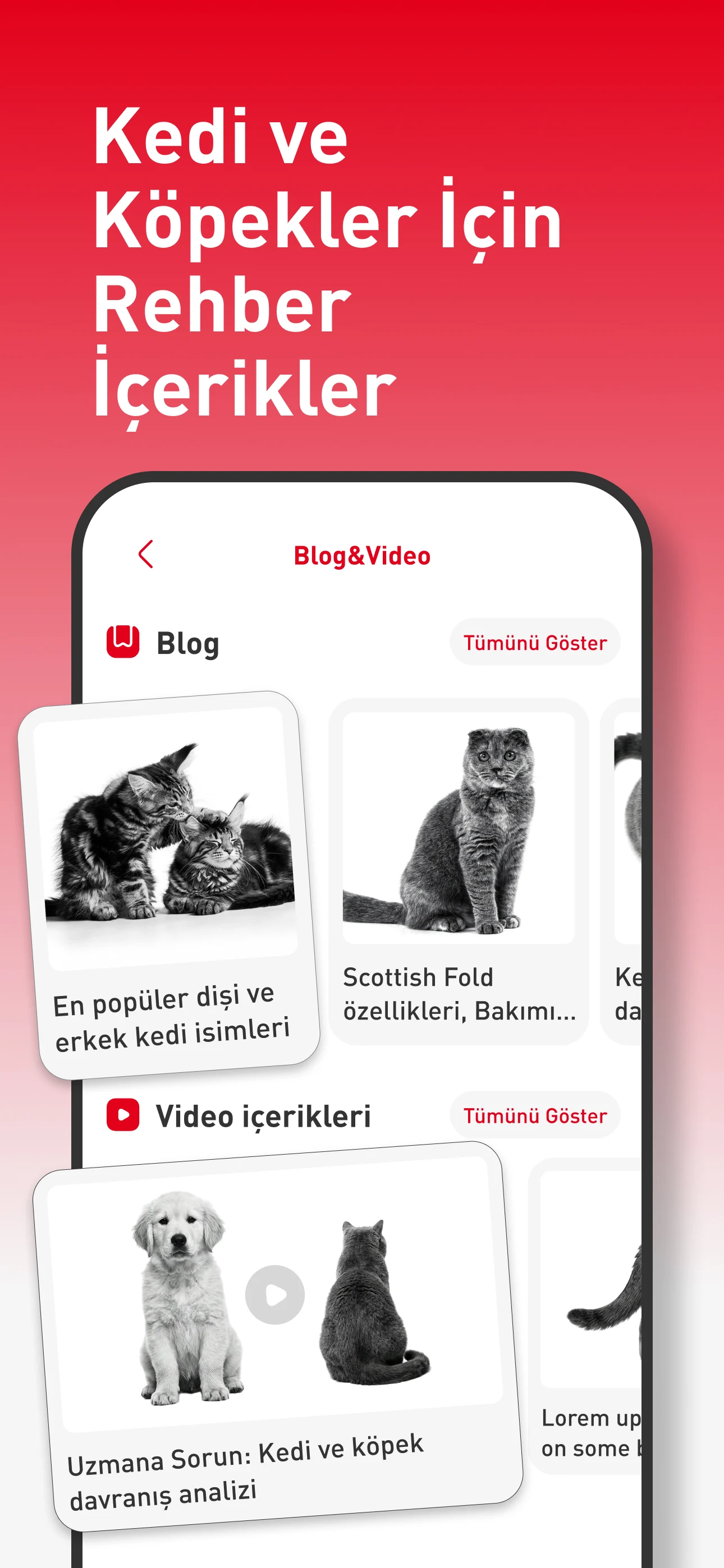 Royal Canin Up screenshot